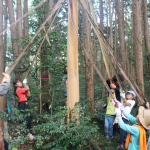 毛呂山町で「きらめ樹体験会」！皮剥き間伐で日本の森を守ろう！